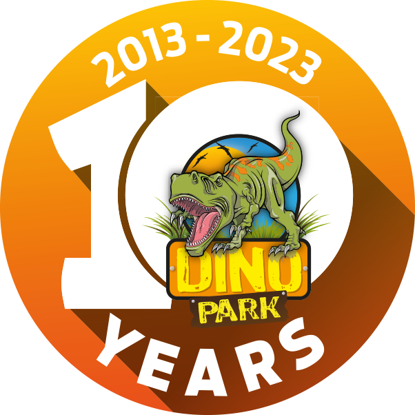 Dino Park and Soft Play